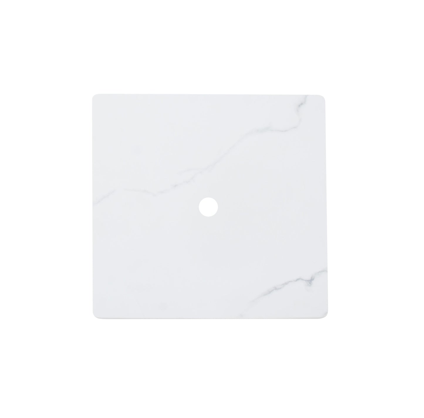 Stainless Steel Lid ONF06-101BW